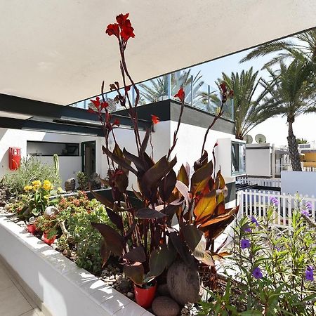 Maspalomas Beach Apartment Charca 1 Екстер'єр фото